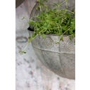 Chic Antique Vaso da Parete - Set da 2