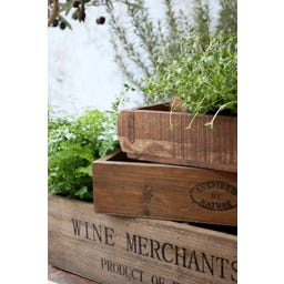 Chic Antique Coffret en Bois avec Anse