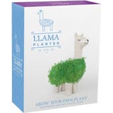Gift Republic Green Lama