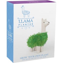 Gift Republic Green Lama - 1 Stk