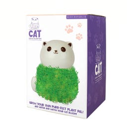 Gift Republic Chia Kätzchen - 1 Stk