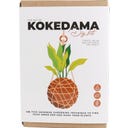 Gift Republic Die Kunst des Kokedama - DIY Set - 1 Set