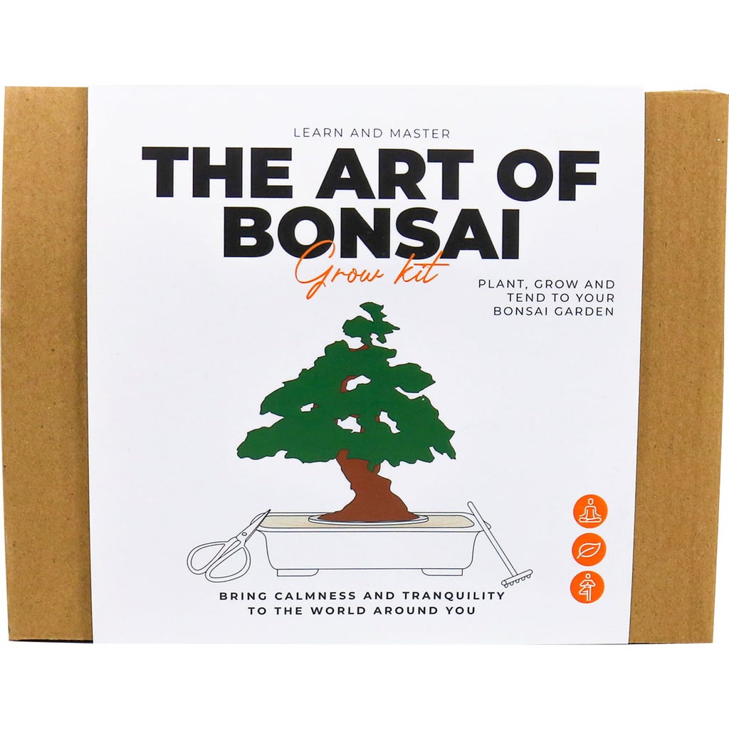Gift Republic Die Kunst des Bonsai - Pflanzset, 1 Set - Interismo Onlineshop