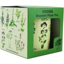 Maceta Esmaltada para Plantas - Hierbas Aromáticas