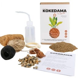 Gift Republic Die Kunst des Kokedama - DIY Set