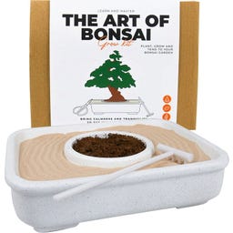 Gift Republic Arte del Bonsái - Set de Cultivo