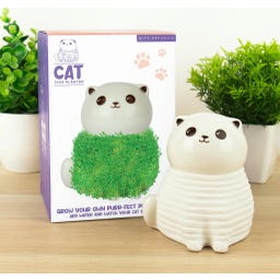 Gift Republic Chaton Chia