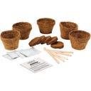 Gift Republic Grow It - Bonsai Bäume