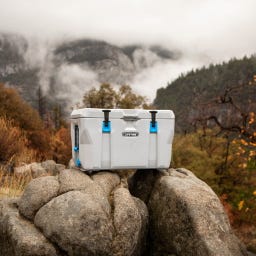 Lifetime Kühlbox 73 Liter