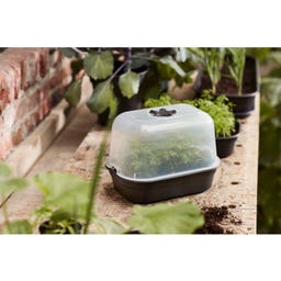 elho green basics taca uprawowa S