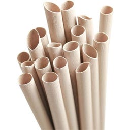 Pandoo Disposable Bamboo Straws - 200 items