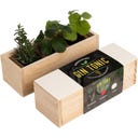 resetea Gin Tonic - Anzuchtset - 1 Set