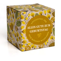 resetea Alles Gute zum Geburtstag - Anzuchtset - 1 Set