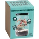 resetea Terrarium - 1 Set