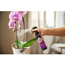 Pon Perfect Orchid Gloss