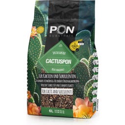 Cactuspon - 6 l