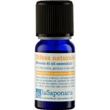 La Saponaria Duftmischung Insektenabwehr