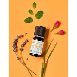 La Saponaria Duftmischung Insektenabwehr - 10 ml