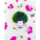 La Saponaria Synergie Parfumée 