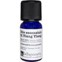 Huile Essentielle d'Ylang-Ylang