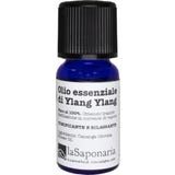 Olio Essenziale di Ylang Ylang
