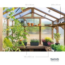 Westmann Gewächshaus Paul - 1 Stk