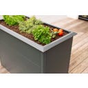 Westmann Hochbeet Primus - M