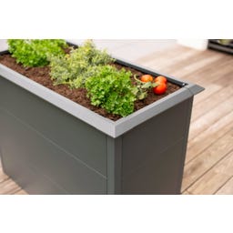 Westmann Hochbeet Primus - M