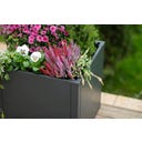 Westmann Pflanzkasten Talus - S