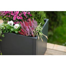 Westmann Pflanzkasten Talus - S