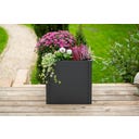 Westmann Pflanzkasten Talus - S