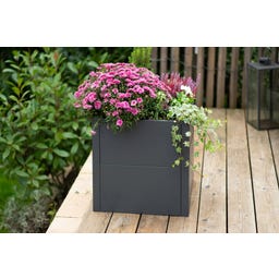 Westmann Pflanzkasten Talus - S
