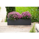 Westmann Jardinera - Talus - M