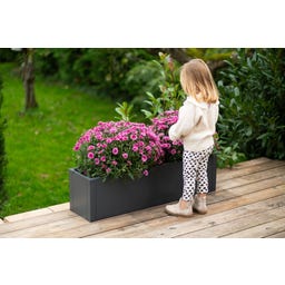 Westmann Jardinera - Talus - M