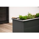 Westmann Hochbeet Primus - M