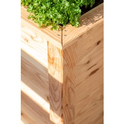 Westmann Hochbeet Klassik Lärche - 100