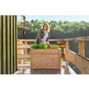 Westmann Hochbeet Klassik Lärche - 100