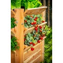 Westmann Premium Hochbeet - XXL