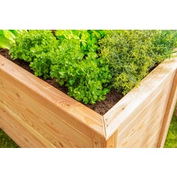 Westmann Hochbeet Klassik Lärche - 100