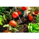 Westmann Hochbeet Klassik Lärche - 100