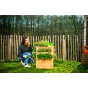 Westmann Premium Hochbeet - L