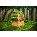 Westmann Premium Hochbeet - L