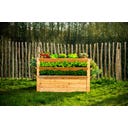 Westmann Premium Hochbeet - XXL