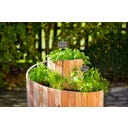 Westmann Kräuterschnecke Luise - 1 Stk