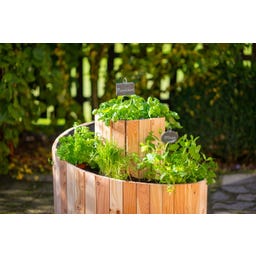 Westmann Kräuterschnecke Luise - 1 Stk