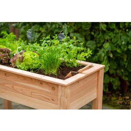 Westmann Stelzenhochbeet Emily ohne Boden - 1 Stk