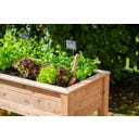 Westmann Stelzenhochbeet Emily mit Ablage - 1 Stk