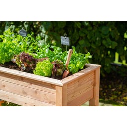 Westmann Stelzenhochbeet Emily mit Ablage - 1 Stk