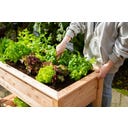 Westmann Stelzenhochbeet Emily mit Ablage - 1 Stk