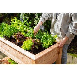 Westmann Stelzenhochbeet Emily mit Ablage - 1 Stk